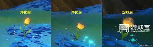 原神净化净觉花隐藏任务攻略