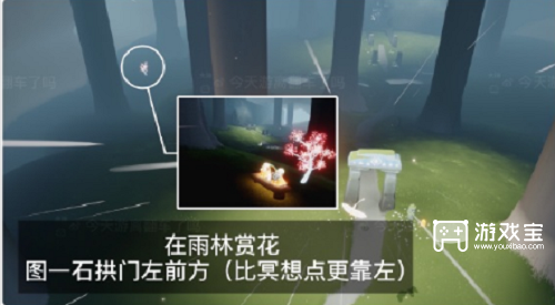 光遇花憩节赏花位置攻略2023