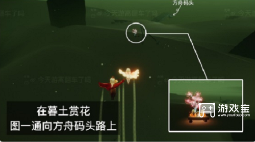 光遇花憩节赏花位置攻略2023