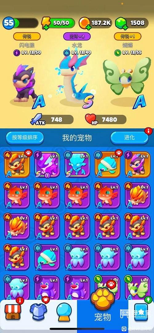 砰砰法师宠物推荐攻略