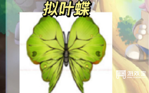 摩尔庄园拟叶蝶位置攻略