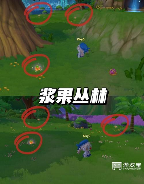 摩尔庄园派对星花位置攻略