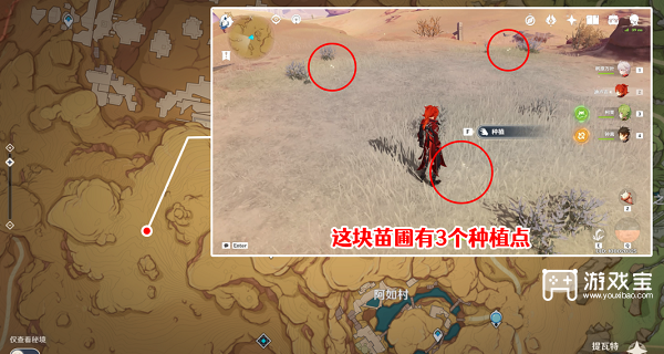 原神献给某人的蔷薇后续任务攻略