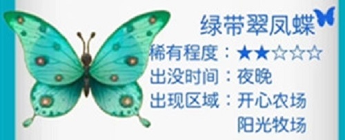 摩尔庄园绿带翠凤蝶位置攻略