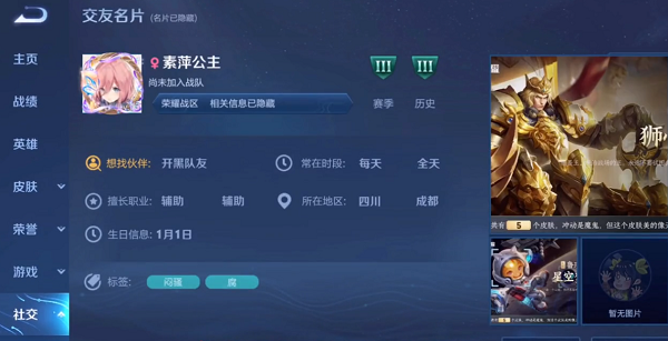 王者荣耀素萍公主账号详解