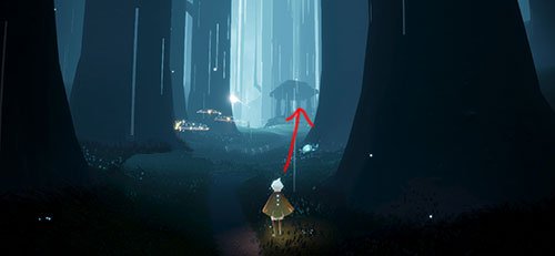 光遇雨林所有先祖位置和光之翼图解2021