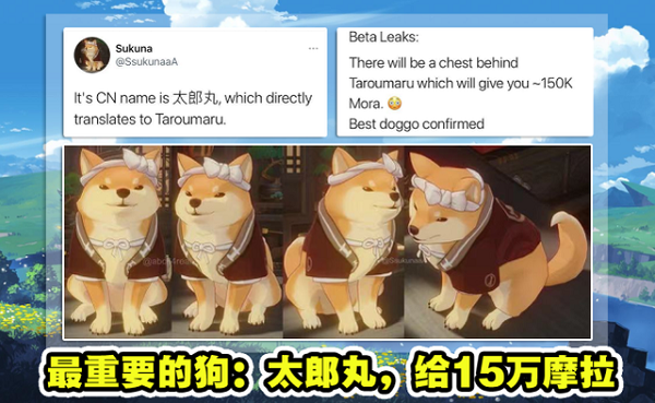 原神太郎丸位置详细介绍