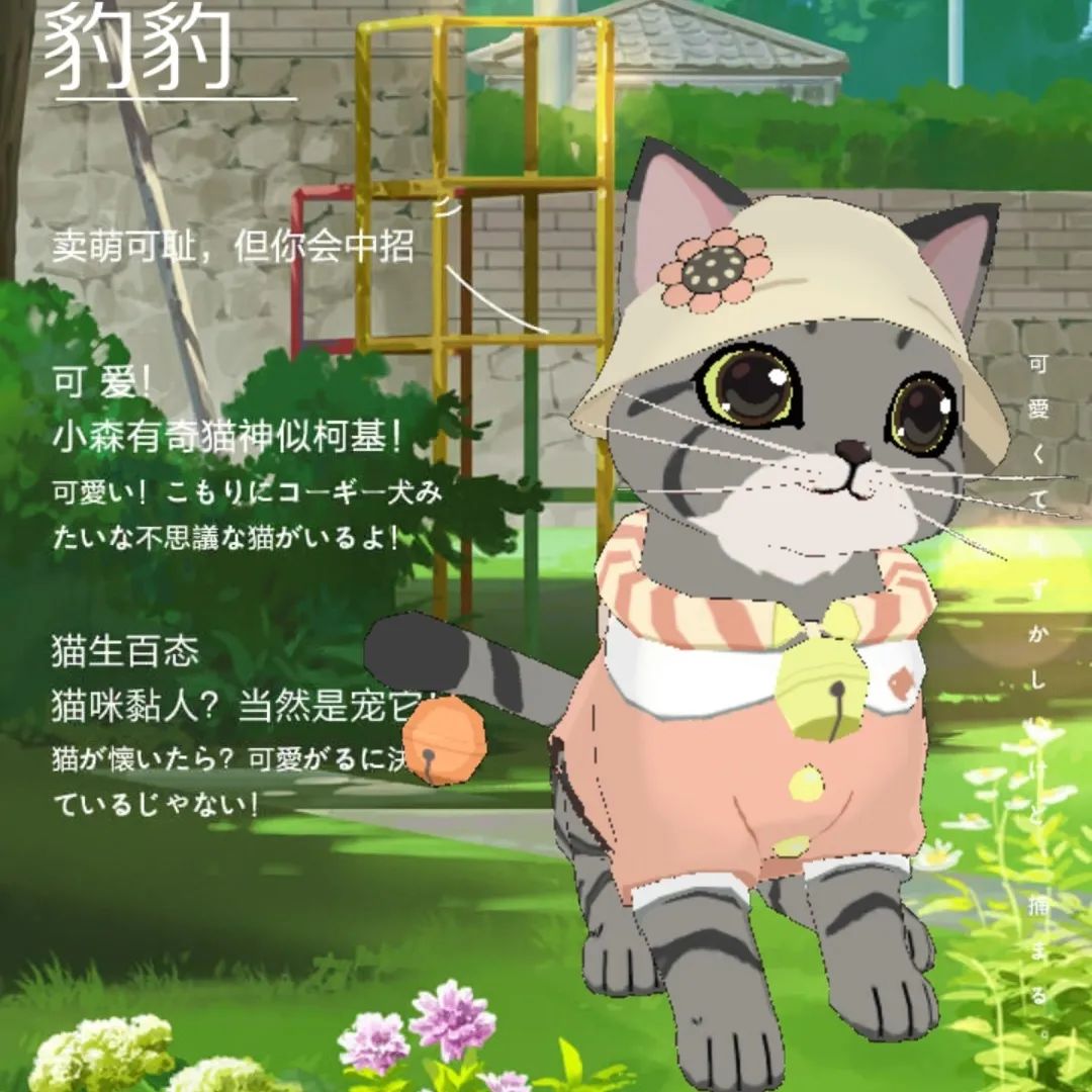 小森生活森村猫咪幼儿园迎新介绍