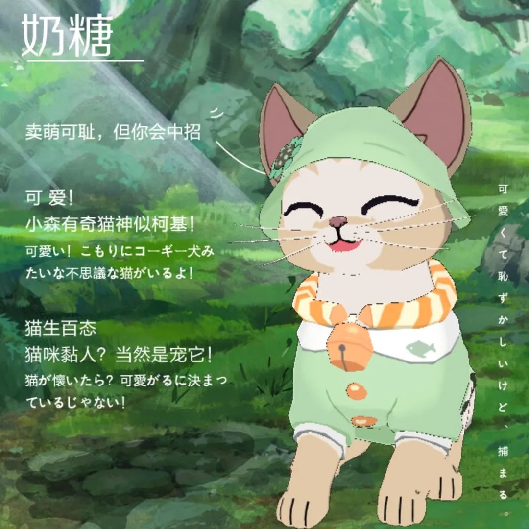 小森生活森村猫咪幼儿园迎新介绍