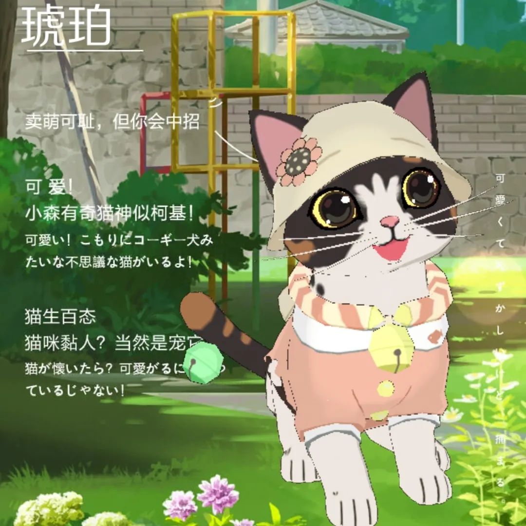 小森生活森村猫咪幼儿园迎新介绍