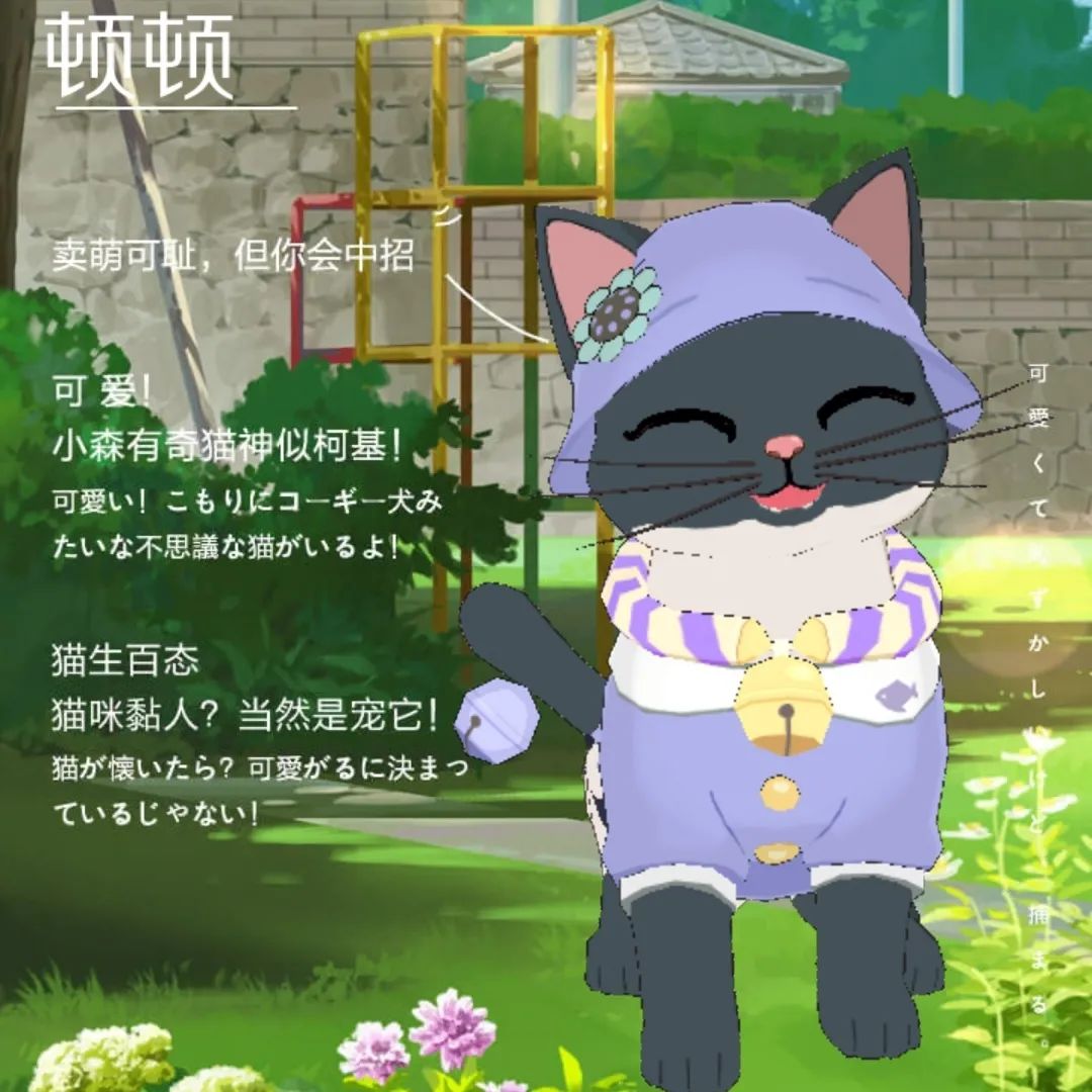 小森生活森村猫咪幼儿园迎新介绍