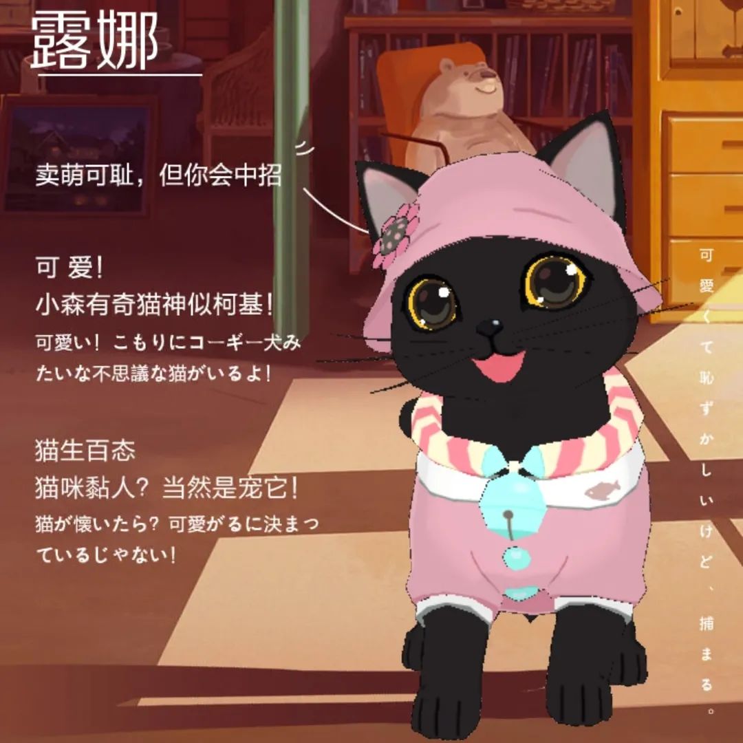 小森生活森村猫咪幼儿园迎新介绍