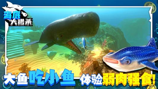 海底大猎杀新手攻略大全