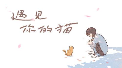 遇见你的猫第五章攻略详细完整版