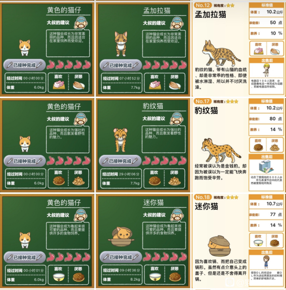 猫猫咖啡屋怎么喂猫粮