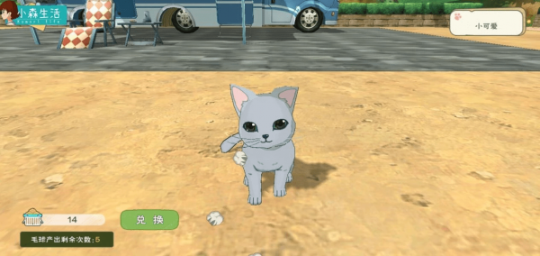 小森生活猫咪选美时间怎么参加