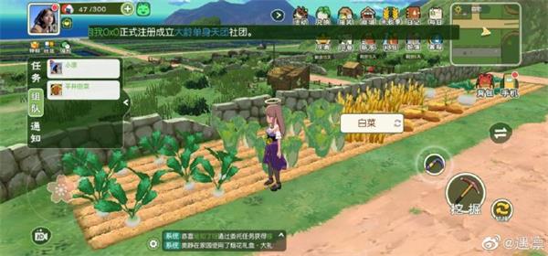 小森生活鸡蛋获取攻略