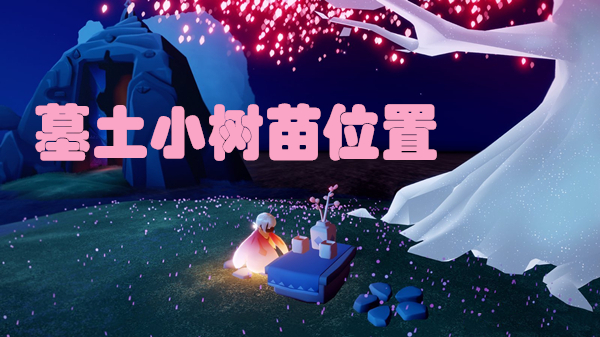 光遇墓土小树苗位置在哪