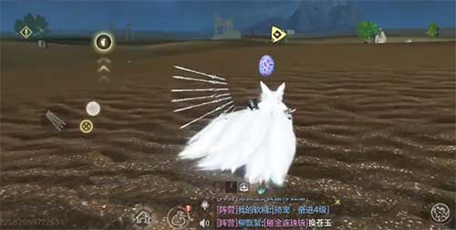 妄想山海宠物蛋刷新点在哪捡