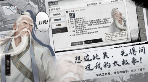我的侠客太极剑怎么搭配？