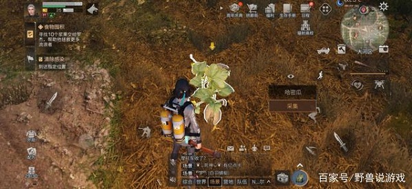 明日之后哈密瓜位置在哪
