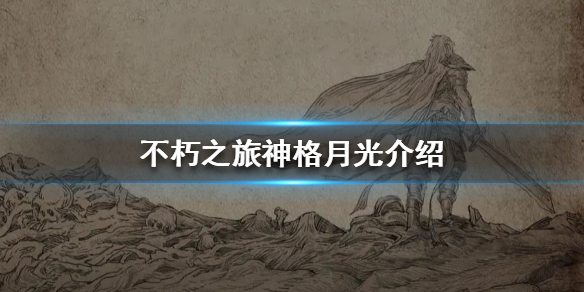 不朽之旅神格月光全方位分析